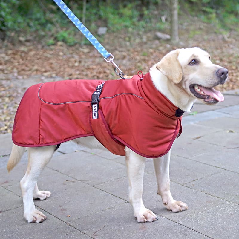 犬服 大型犬用フルカバー中綿入りあったか防寒ジャケット