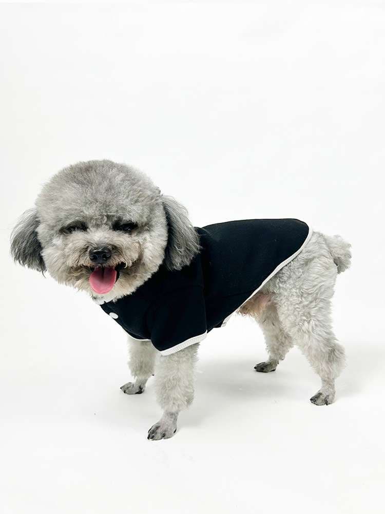 犬服 ふわもこ素材のシンプル犬用ボタン留めシャツ
