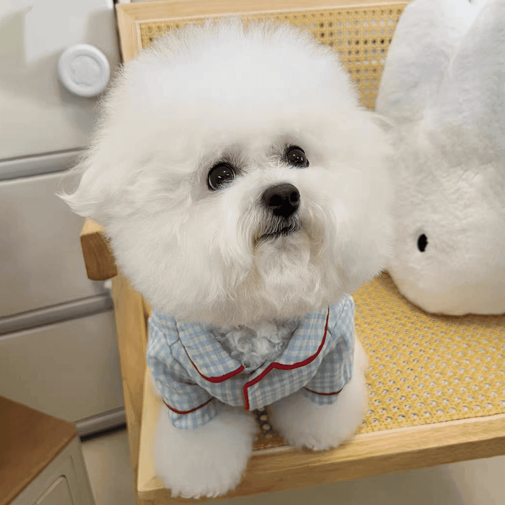 犬服 ふわもこ格子柄おやすみパジャマ