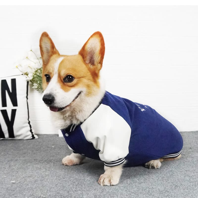 犬服 誇り高き仲間トレーナー
