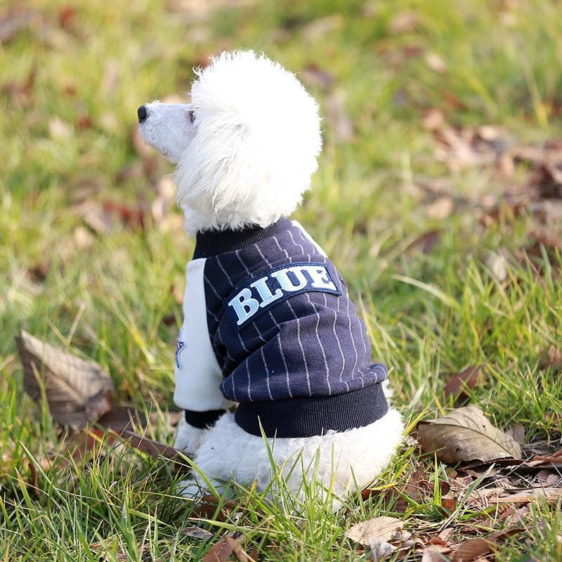 犬服 スポーティストライプトレーナー