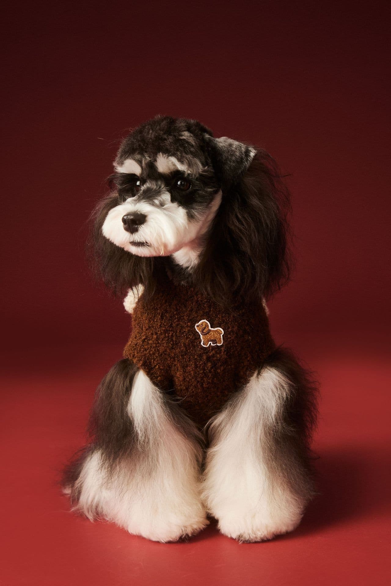 犬服 わんちゃんモチーフニット