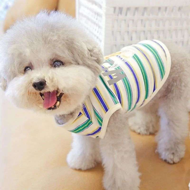 犬服 ふわもこプードル用ボーダーTシャツ