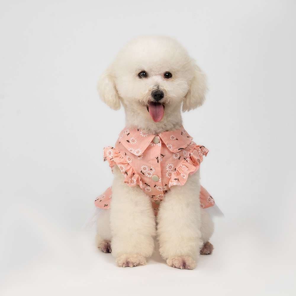 犬服 ふんわり花柄ワンピース 愛犬用