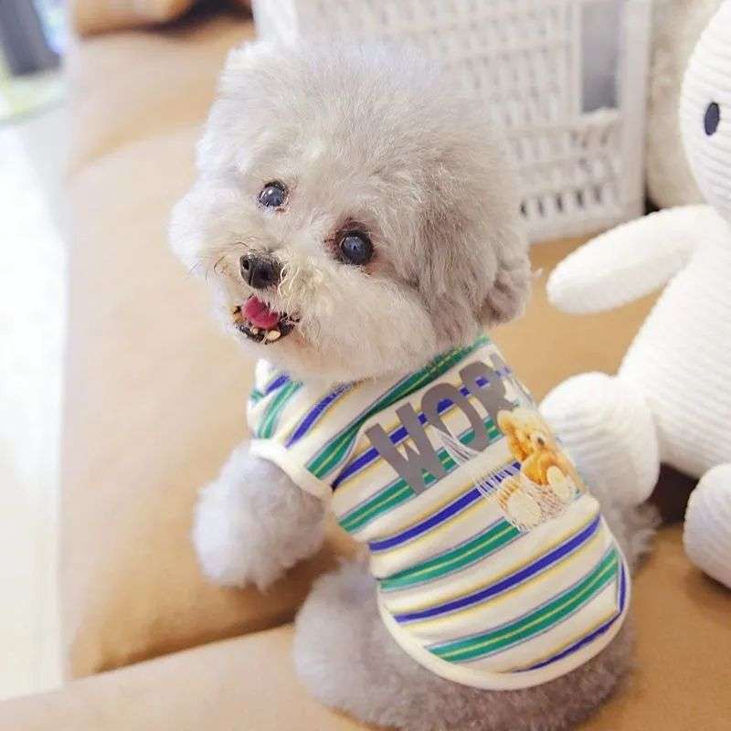 犬服 ふわもこプードル用ボーダーTシャツ