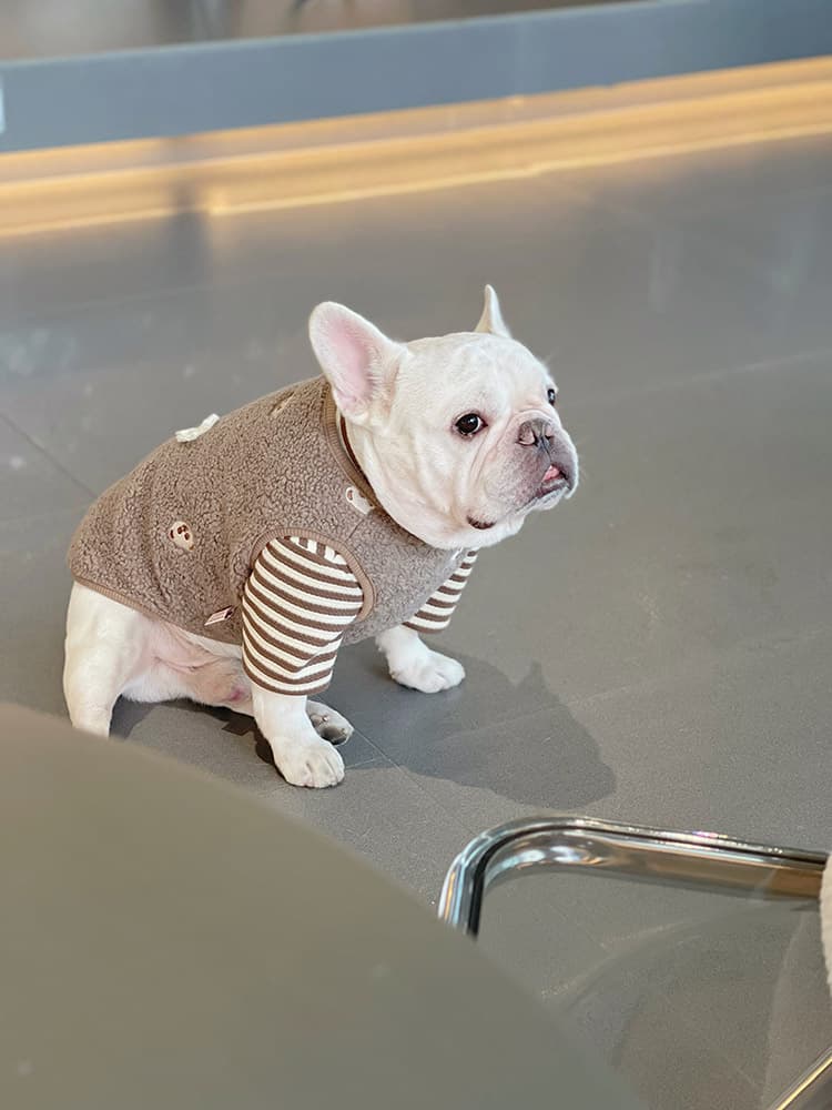 犬服 もこもこボーダー切替ニット