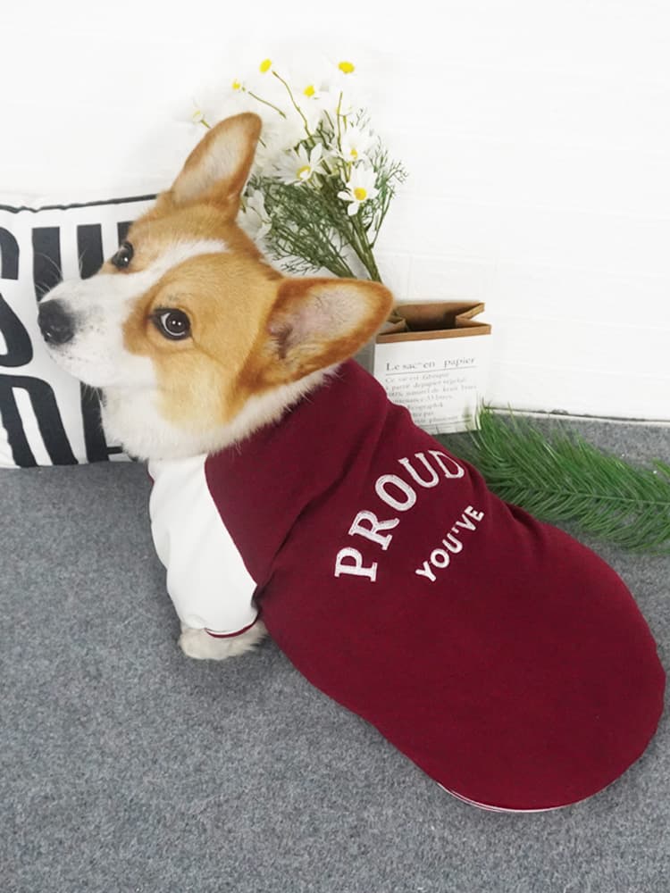 犬服 誇り高き仲間トレーナー