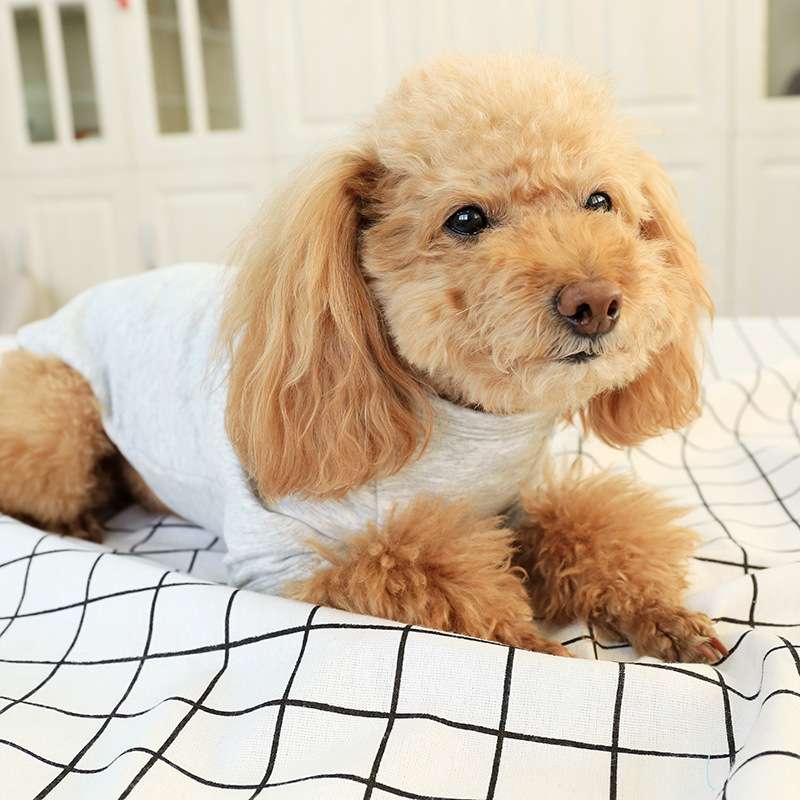 犬服 ワンちゃん用リボン付きトップス