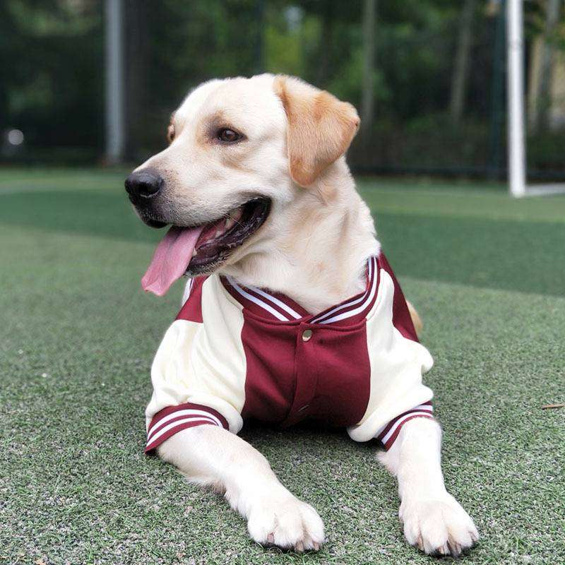 犬服 スポーティ大型犬用ジャージ