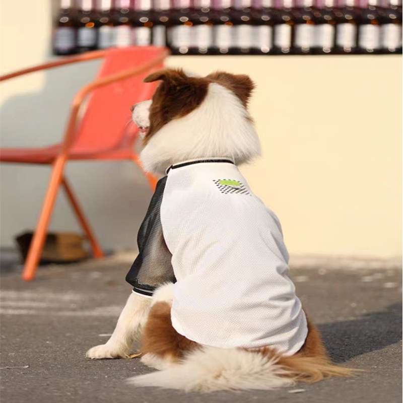 犬服 スポーティーメッシュTシャツ