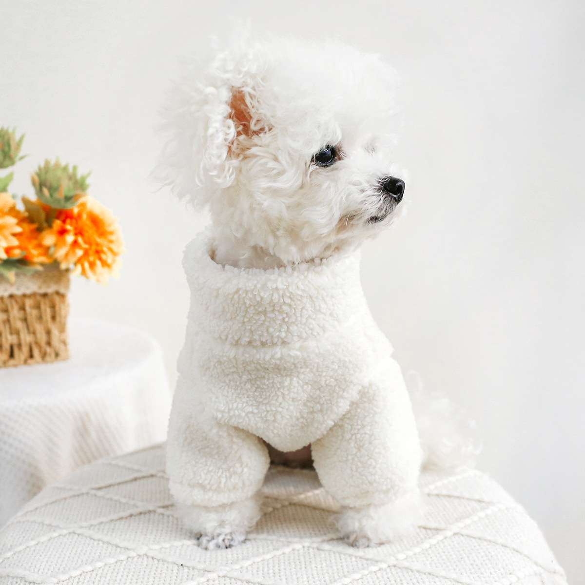 犬服 もこもこあったかジップアップパーカー