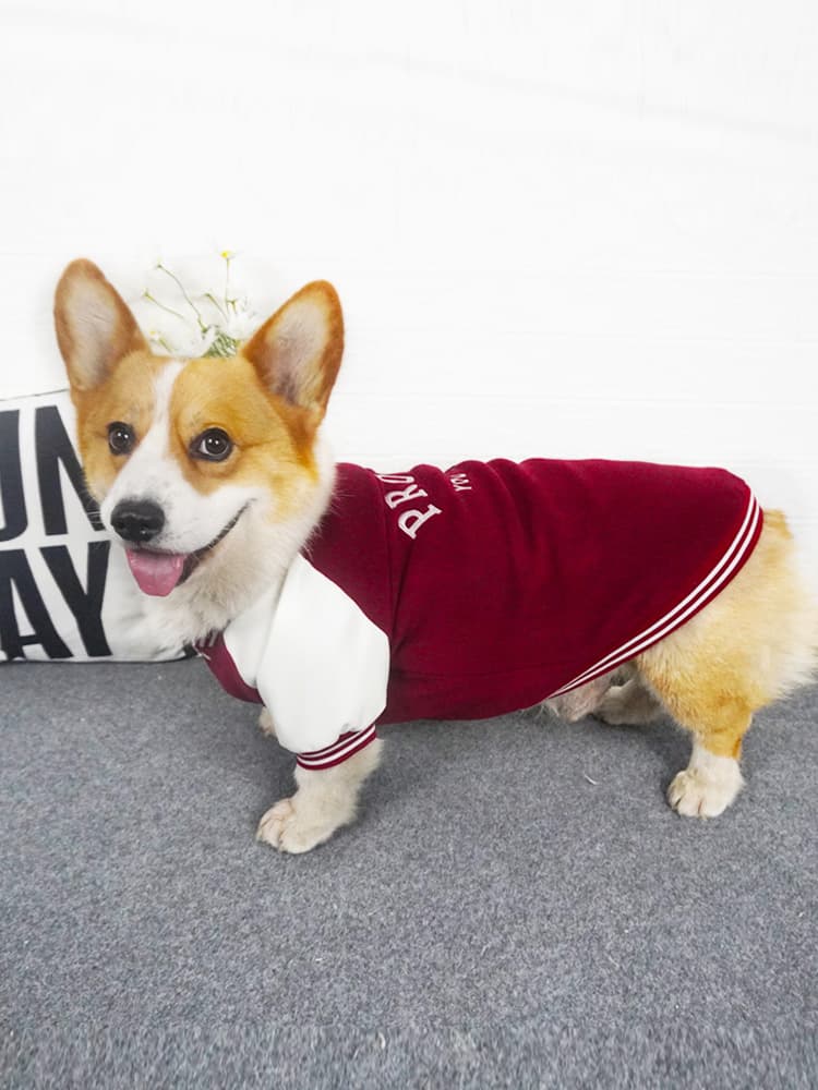 犬服 誇り高き仲間トレーナー