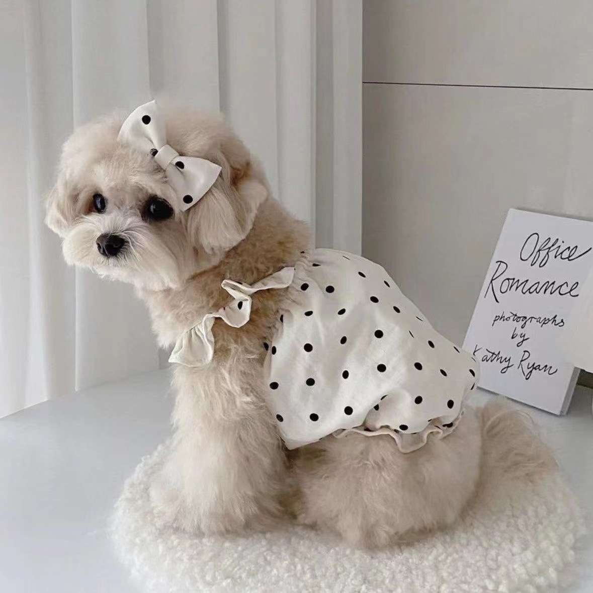 犬服 ふんわり水玉ワンピース