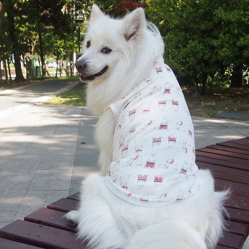 犬服 もふもふ犬のための涼やかTシャツ