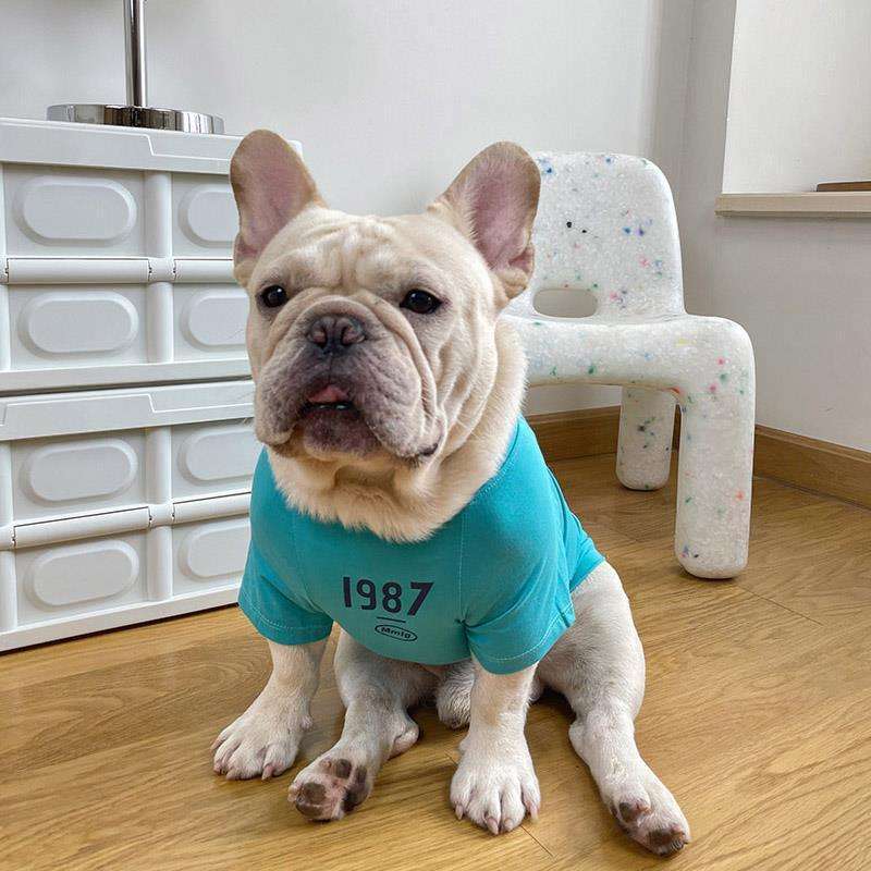 犬服 レトロ調Tシャツ