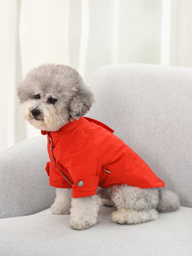 犬服 上品トレンチコート