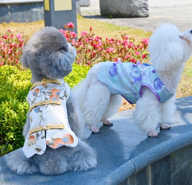 犬服 小型犬用夏の薄手ベスト涼しげ花柄