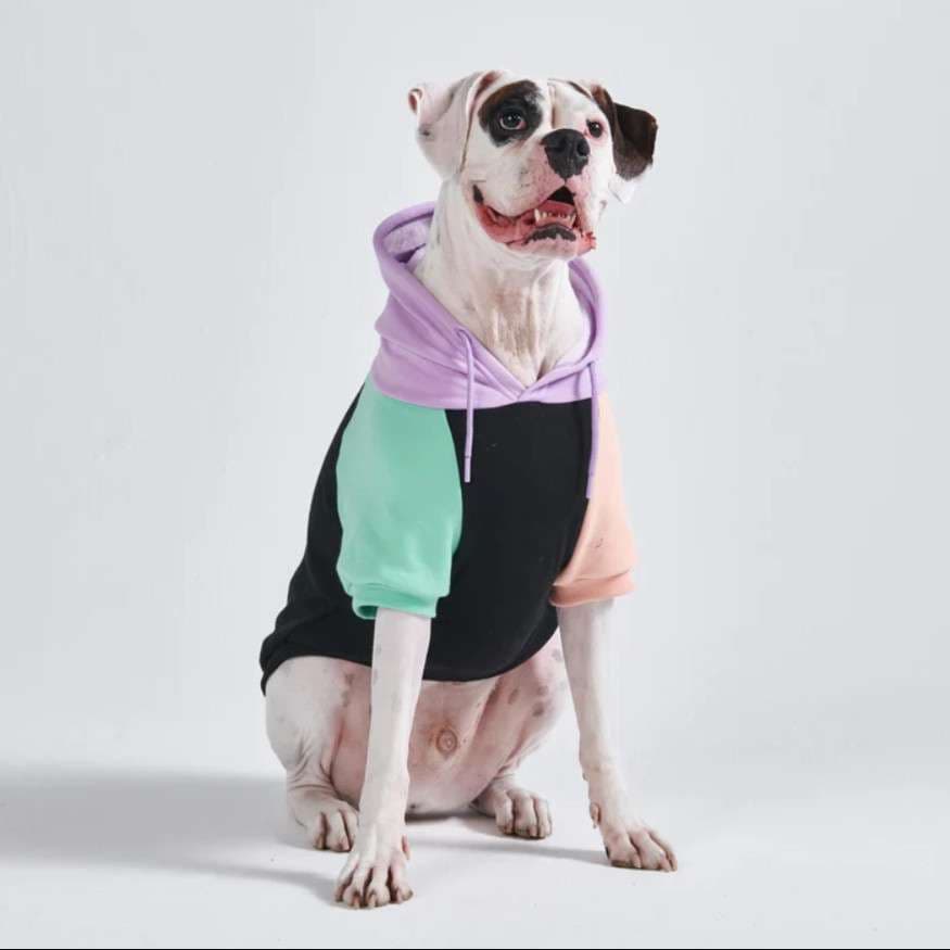 犬服 大型犬用カラフルパーカー