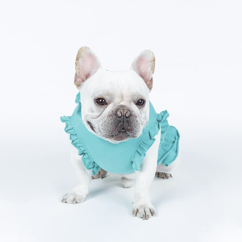 犬服 フルーツモチーフフリル袖ワンピース