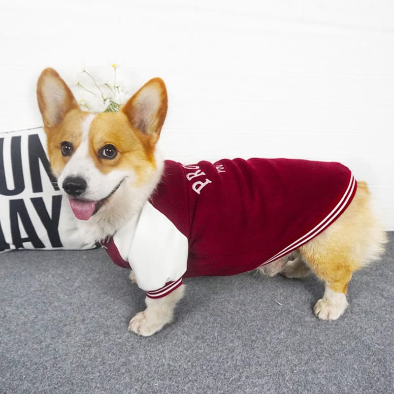 犬服 誇り高き仲間トレーナー