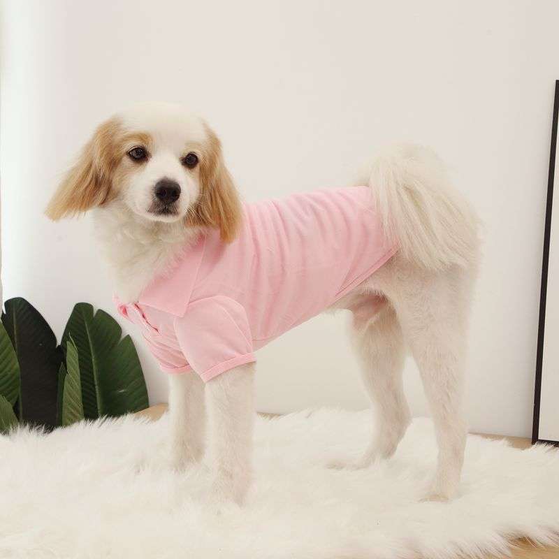 犬服 ふわふわ犬用シンプルTシャツ